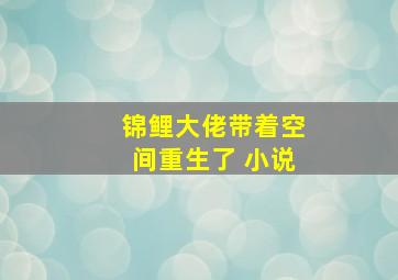 锦鲤大佬带着空间重生了 小说